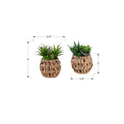 Monarch Specialties 9369 9" Tall Artificial Succulents - Brown Woven Basket - Set of 2-Backed by a 5-year limited warranty, these artificial plants are designed for long-lasting quality and peace of mind
