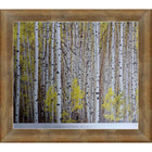 Frameworth Christopher Burket Aspen Grove - Framed Art Print - 34" W x 28" H-Premium reproduction of Aspen Grove by Christopher Burket on quality paper