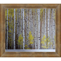 Frameworth Christopher Burket Aspen Grove - Framed Art Print - 34" W x 28" H-Premium reproduction of Aspen Grove by Christopher Burket on quality paper