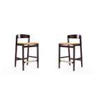 Manhattan Comfort Klismos 20" Mid-Century Modern Faux Leather Upholstered Counter Stool - Camel and Dark Walnut - 2 Pack-Mid-Century Modern Counter Stool with Backseat Perfect for Bar and Kitchen Use. Set of 2