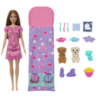 Barbie Puppy Slumber Party Doll-This set has everything for a fun night in, including a Barbie doll, her 2 puppies, and a sleeping a bag that fits all 3