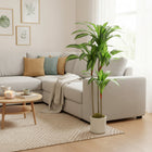HOMCOM 4' Artificial Dracaena Tree - Green-Enjoy evergreen beauty with zero watering, pruning, or maintenance required 