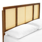 Modway Kelsea Cane and Wood Full Platform Bed with Angular Legs - Walnut-Rubberwood Legs