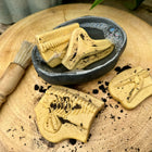 Yellow Door Dig and Discover - Pliosaur & Stegosaurus-8