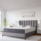 Modway Mila 10" Queen Mattress-0.75" Memory Foam