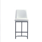 Manhattan Comfort Serena 17.71" Modern Leatherette Upholstered Counter Stool - White-Seat Height: 26.37 in