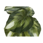 Monarch Specialties 13" Artificial Indoor Monstera Calthea - Table - Black Pots - Set of 2-7