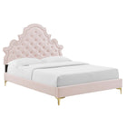 Modway Gwyneth Tufted Performance Velvet Full Platform Bed with Gold Metal Legs - Pink-Assembly Required