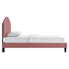 Modway Daisy Performance Velvet Queen Platform Bed with Tapered Wood Legs - Dusty Rose-Assembly Required