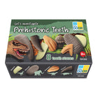 Yellow Door Let's Investigate Prehistoric Teeth 8-Piece Set-Budding paleontologists will love to bury them, dig them up and compare their finds. They can be sorted and easily cleaned, extending the learning to dental hygiene.