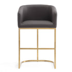 Manhattan Comfort Louvre 20" Mid-Century Modern Faux Leather Upholstered Counter Stool - Grey and Titanium Gold - 2 Pack-Includes Footrest Base