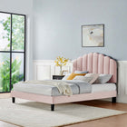 Modway Daisy Performance Velvet Queen Platform Bed - Pink-Tapered Wood Legs