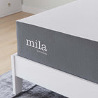 Modway Mila 12" Full Mattress-Unrolls and Decompresses in 36 hours or less