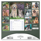 Mead 2027 Decorative Wall Calendar - 12" x 12" - Paw Pals - Bilingual-Features full colour monthly artwork designed to enhance walls and shared spaces