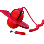 Danaplay Pogo Ball with Handle-Maximum Weight: 100 lbs