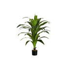 Monarch Specialties 47" Artificial Indoor Dracaena Tree - Floor - Black Pot-Add a soothing burst of greenery to any floor of your home or office with this 47" tall artificial indoor dracaena tree in a 5" black pot