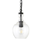 Hudson&Canal Verona 7" Wide Pendant with Glass Shade - Blackened Bronze/Clear-Rated for one 60W incandescent bulb - 9W LED bulb, 13W fluorescent (CFL) bulb, or 9W self-ballasted LED bulb, E26-base bulb, Bulb not included