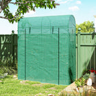 Outsunny Mini Greenhouse with Roll-up Door & Mesh Windows - 6' x 2' x 6.6' - Green- Roll-up door is great for ventilating and managing plants
 