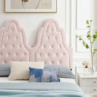 Modway Alexandria Tufted Performance Velvet Twin Platform Bed with Black Wood Legs - Pink-Reinforced Center Beam and Support Legs
