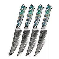 Minimal 4-Pieces Damascus TransShell Steak Knife Set, Service for 4-Forged 67-layer Damascus steel with the VG10 steal core