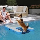PawHut 60" L Dog Water Ramp for Pets Up to 300 lbs - Blue-Solid connectors adapt to lakes, pools, boats, and docks 