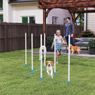 PawHut Adjustable Dog Agility Training Obstacle Set - Blue/White-Lightweight for quick and easy setup and convenient transport with the carrying bag, great for outdoor use 
