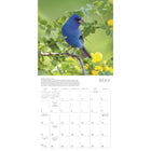 Sellers Publishing Inc. 2026 Wall Calendar - Songbirds - English-4