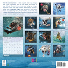 Sellers Publishing Inc. 2026 Wall Calendar - Underwater Dogs - English-Bonus September - December 2025 calendar spread 