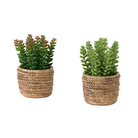 Monarch Specialties 9367 7" Tall Artificial Succulents - Brown Cement Pots - Set of 2-This set of 2 artificial plants features 7" tall artificial succulents designed to enhance any table in your home or office