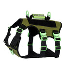 Healthy Harness Absolute Adventure Harness - Green - Large-No-pull, no-choke design-prevents harmful pressure on your dog’s neck and throat for safer, healthier walks