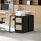 HOMCOM 2-Drawer Letter/A4 Lockable Filing Cabinet - Black-Each drawer features a separate lock and two keys for privacy
