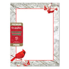 Geographics Winter Cardinal Letterhead - Red Foil - 8.5" W x 11" H - 40 Pack-Compatible with ink-jet printers