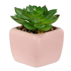 Pep Rally Mini Faux Plant - Pink-Realistic faux plant for a natural look without maintenance