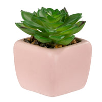 Pep Rally Mini Faux Plant - Pink-Realistic faux plant for a natural look without maintenance