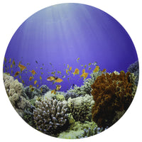 TickiT Under the Sea Discovery Play Mat-Fascinating visual stimulation: This playmat features a detailed image of an ocean-floor landscape. Give children a colorful, stimulating background for open-ended play