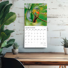 Plato 2026 Hummingbirds Monthly Hanging Wall Calendar - 12" W x 24" H  - English-Specifications - 16 months (two-page layout September-December 2025, and January-December 2026), 12" x 12" (closed), 12" x 24" (opened), 28 pages