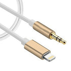 Exian Lightning to Aux Cable 1M, Metallic Gold (CC-079-GOLD)-Lightweight
