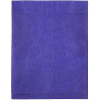 JAM Paper 10 x 13 Tyvek Envelopes, Catalog Open End with Self Adhesive Closure, Blue, 100 Pack (v021377g)-Blue