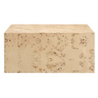 Modway Cosmos 36" Square Burl Wood Coffee Table - Natural Burl-No Assembly Required