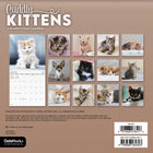 DateWorks 2026 16-Month Mini Wall Calendar - 7" x 7" - Cuddly Kittens - English-13 High Quality Images printed on Premium Paper