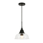 Hudson&Canal Magnolia 10.75" Wide Pendant with Glass Shade - Blackened Bronze/Seeded-Paired with a seeded dome glass shade