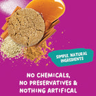 Allergy Smart Cookies - Snickerdoodle - 28g - 40 Pack-Celiac Safe, Office Safe, School Safe, Kosher & Vegan