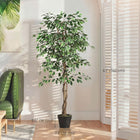 Outsunny 5.3 ' Potted Artificial Ficus Tree - Green - 2 Pack-Stable nursery pots provide the stable bases 