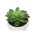 Monarch Specialties 6" Artificial Indoor Succulent Green Plants - Table - White Pots - Set of 3-Product dimensions: 4 in. L x 4.5 in. W x 5.75 in. H: 4 in. L x 4.5 in. W x 5.5 in. H: 4 in. L x 4.5 in. W x 4.25 in. H