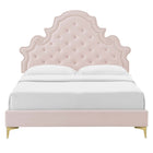 Modway Gwyneth Tufted Performance Velvet Full Platform Bed with Gold Metal Legs - Pink-8