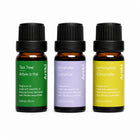 Artikl Summer Essential Oil - 10 ml - Tea Tree, Lavender, Lemongrass - 3 Pack-Includes Tea Tree, Lavender, and Lemongrass essential oils