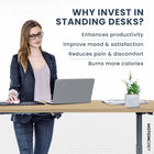 MotionGrey Electric Dual Motor Height Adjustable 140" W Sit-to-Stand Desk - Black Frame-9