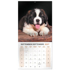 Mead 2027 Decorative Wall Calendar - 12" x 12" - Puppies - Bilingual-Covers a 16 month calendar period to support long term planning needs