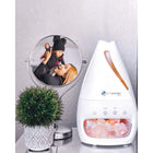 PureGuardian Humidifier and Salt Lamp-Ultrasonic technology: The H1117W features a .32 gallon tank and disperses a soothing mist into the air and is ultra-quiet, making it ideal to have on while you sleep