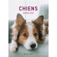 Modus Vivendi 2026 Agenda - Dogs-January To December